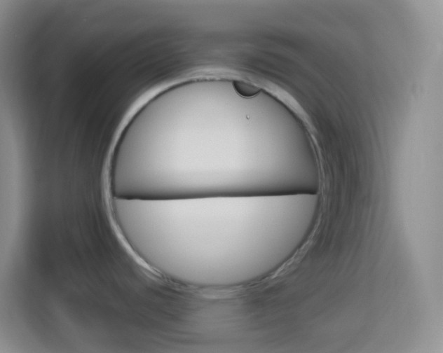 X0000114121440200910051250