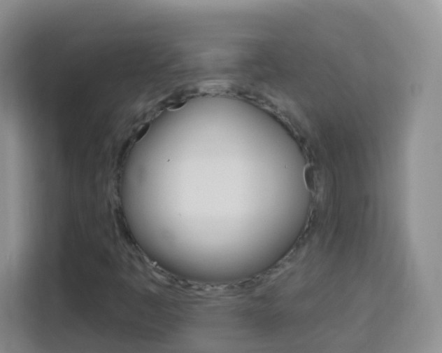 X0000114121445200910051249
