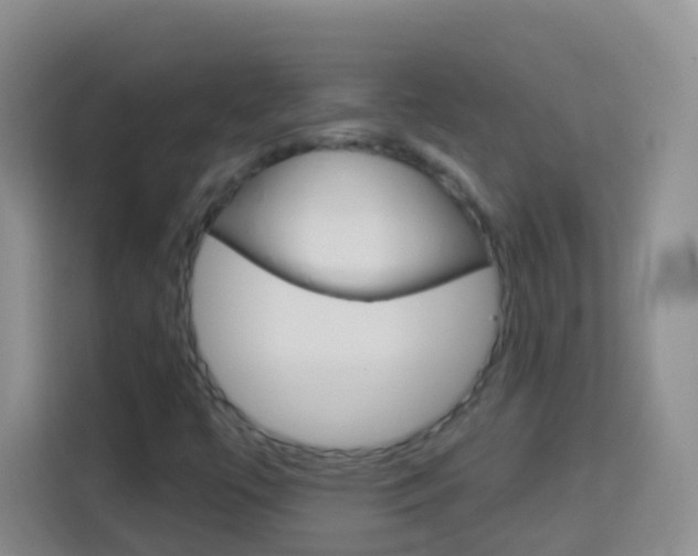 X0000114121447200910051249