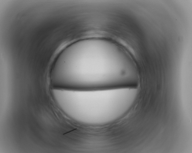 X0000114121459200910051249