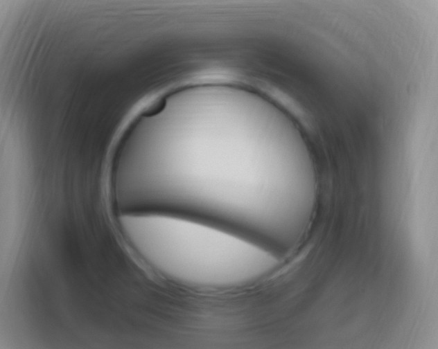 X0000114121469200910051249