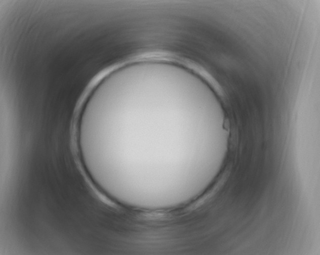 X0000114121470200910051249