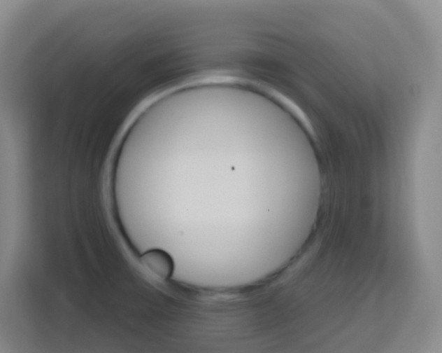 X0000114121475200910051249