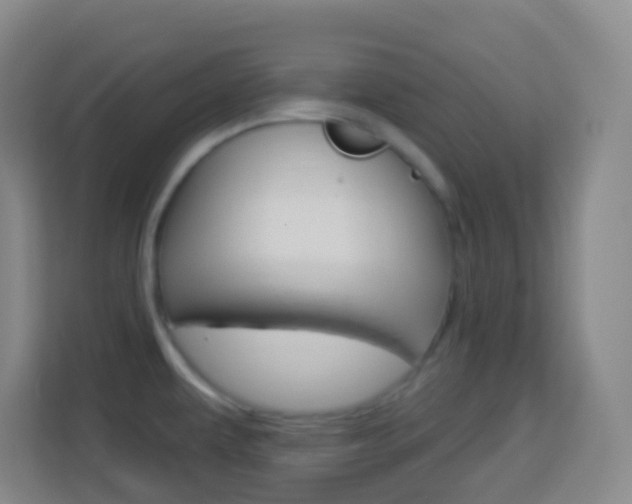 X0000114121479200910051249