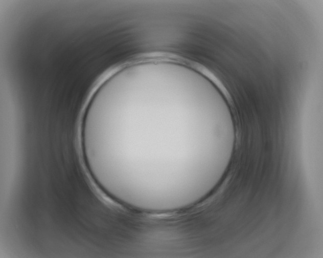 X0000114121482200910051249