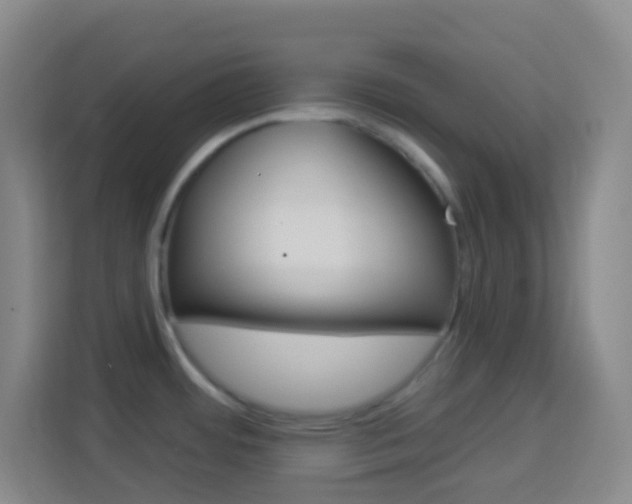 X0000114121484200910051249