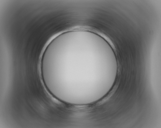X0000114121486200910051249