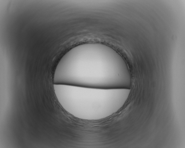 X0000114121490200910051248