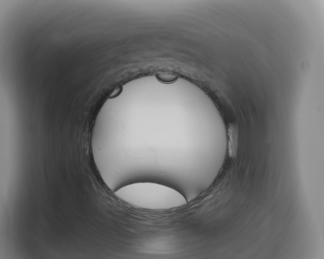 X0000114121491200910051248