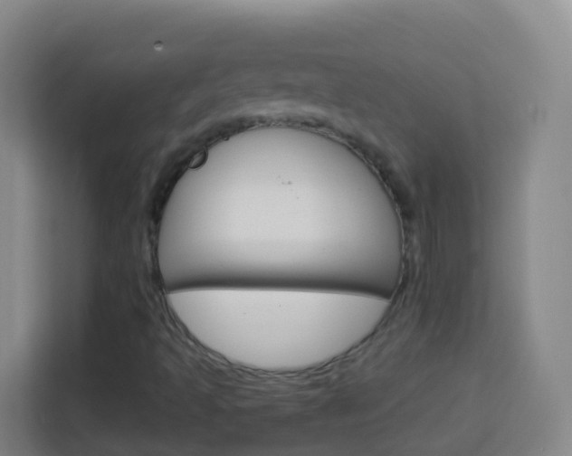 X0000114121493200910051248