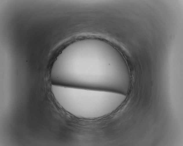 X0000114121494200910051248