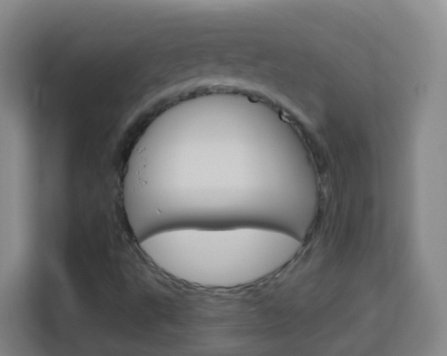 X0000114121495200910051248