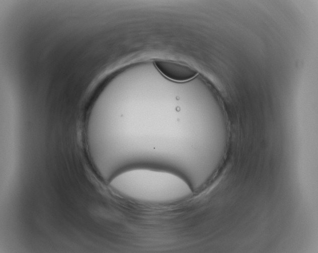 X0000114121499200910051248