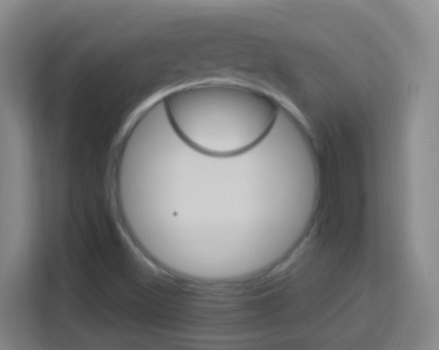 X0000114121500200910051248