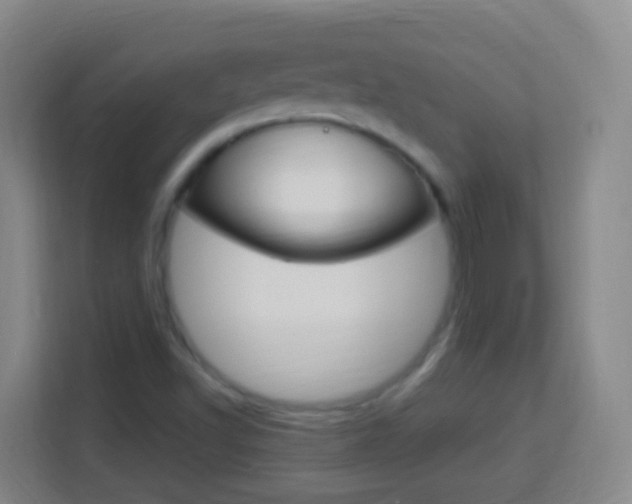 X0000114121502200910051248