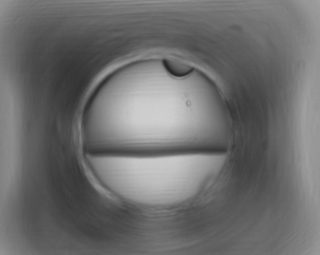 X0000114121515200910051248