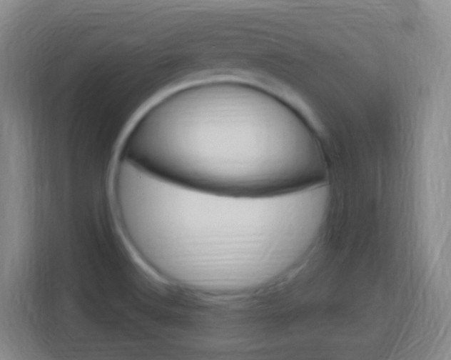 X0000114121516200910051248