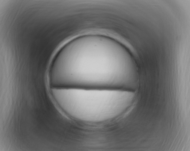X0000114121517200910051248