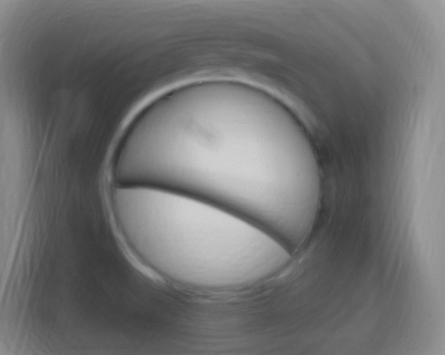 X0000114121519200910051248