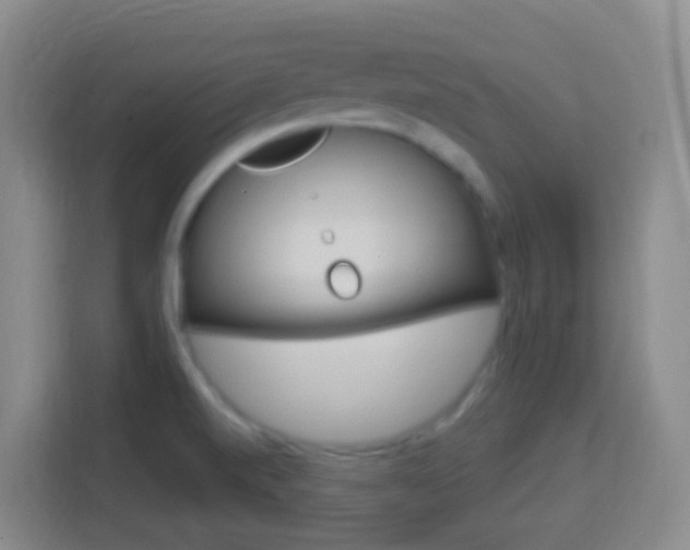 X0000114121520200910051248