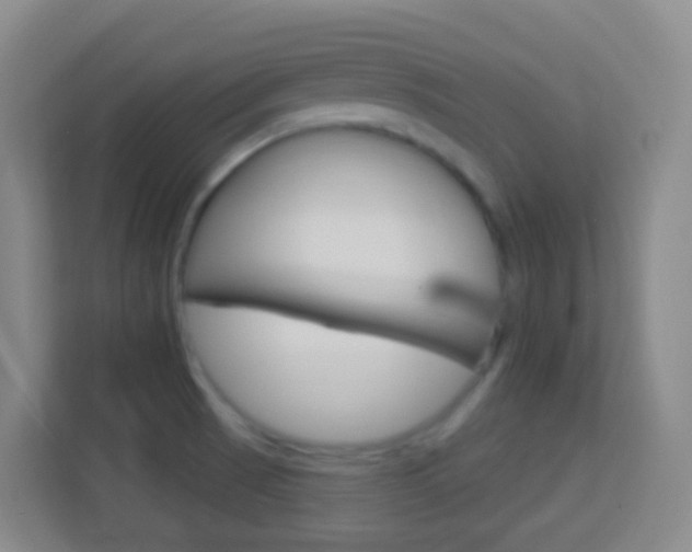 X0000114121521200910051248