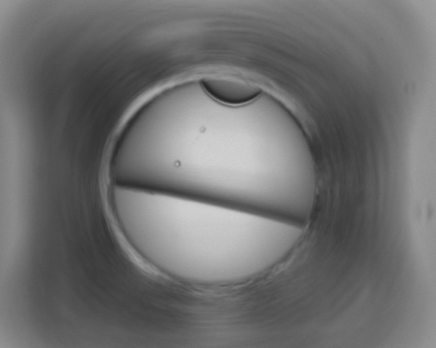 X0000114121523200910051248