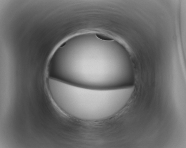 X0000114121524200910051248
