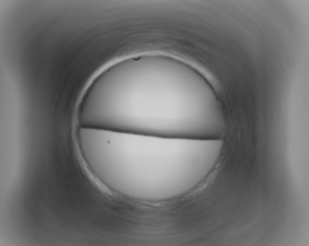 X0000114121526200910051248