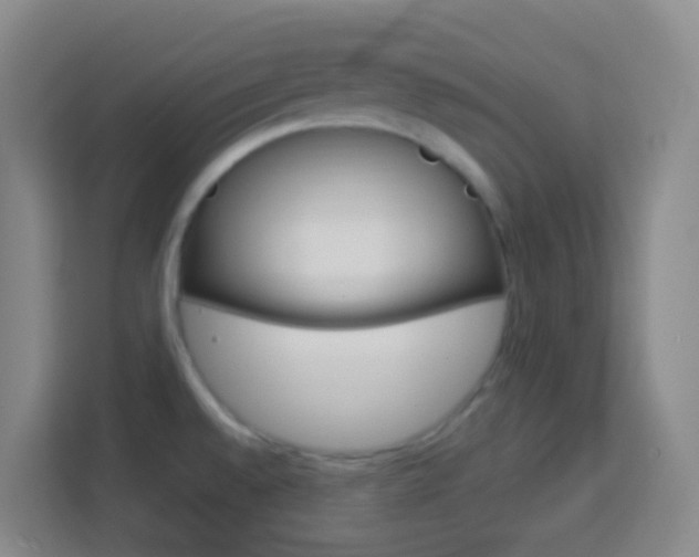 X0000114121528200910051248