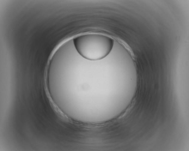 X0000114121530200910051248