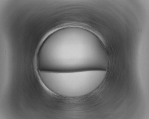 X0000114121531200910051249