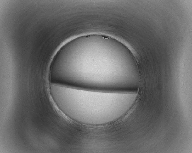 X0000114121534200910051249