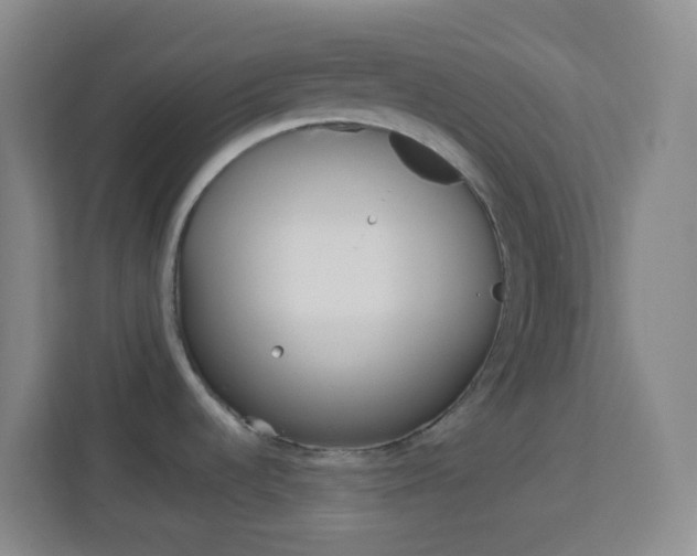 X0000114121536200910051249