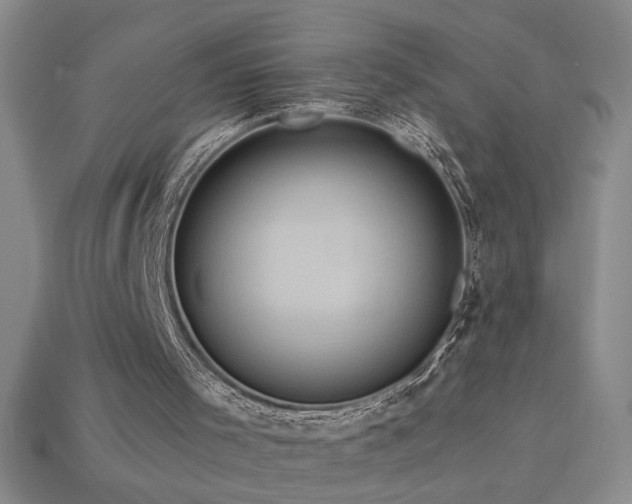 X0000114120001200910051520