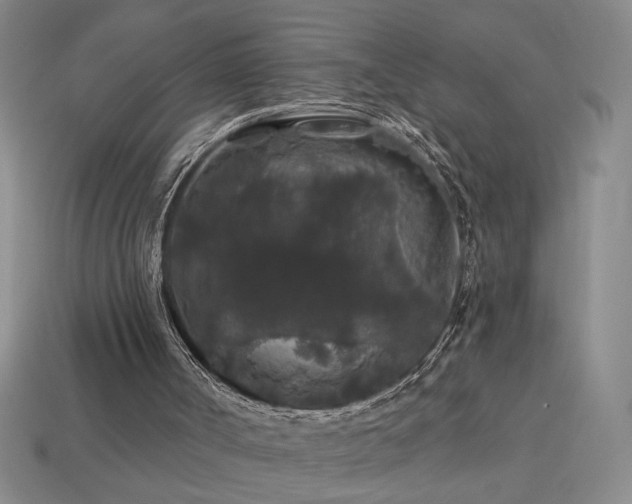 X0000114120002200910051520