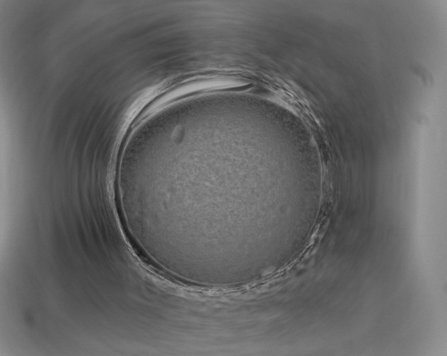 X0000114120003200910051520