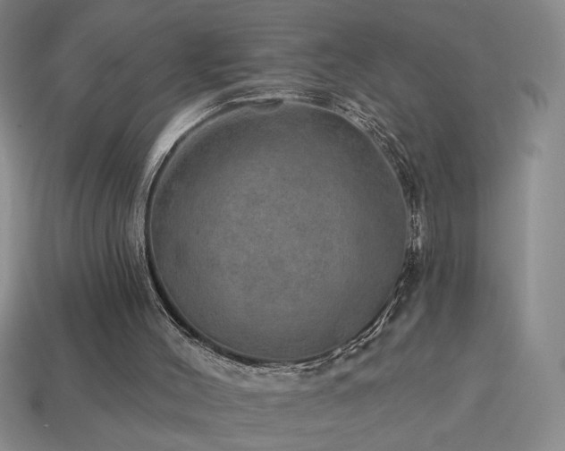 X0000114120004200910051520