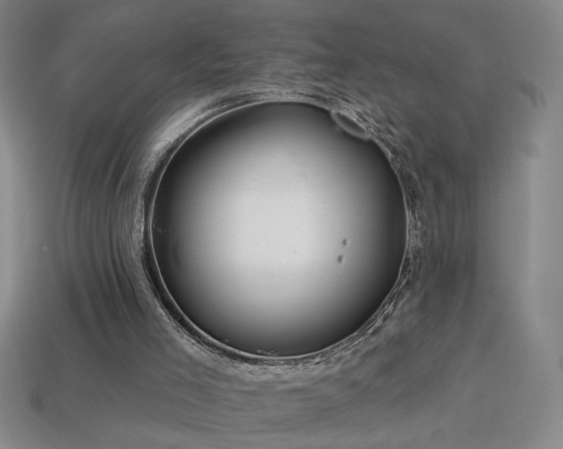 X0000114120005200910051520