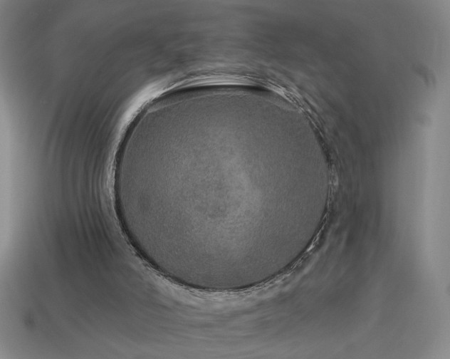 X0000114120006200910051520