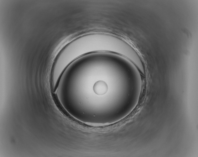 X0000114120007200910051520