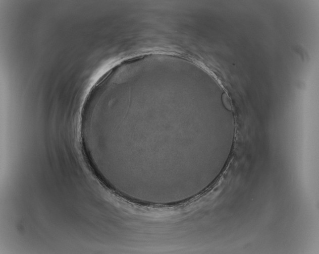 X0000114120008200910051520