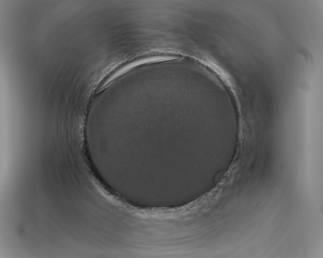 X0000114120009200910051520