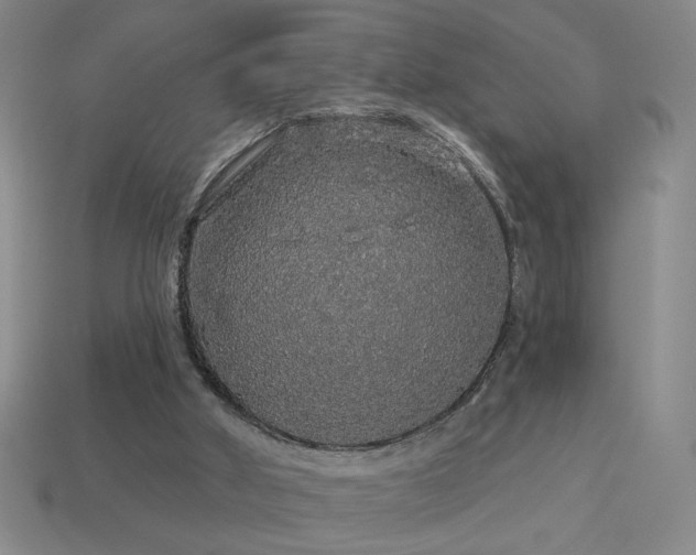 X0000114120010200910051520