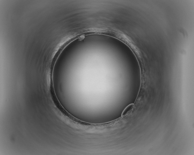 X0000114120011200910051520