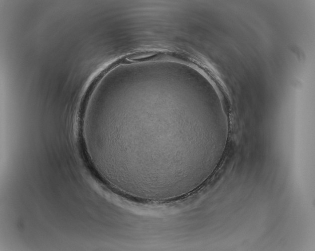 X0000114120012200910051520