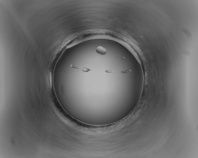 X0000114120013200910051520