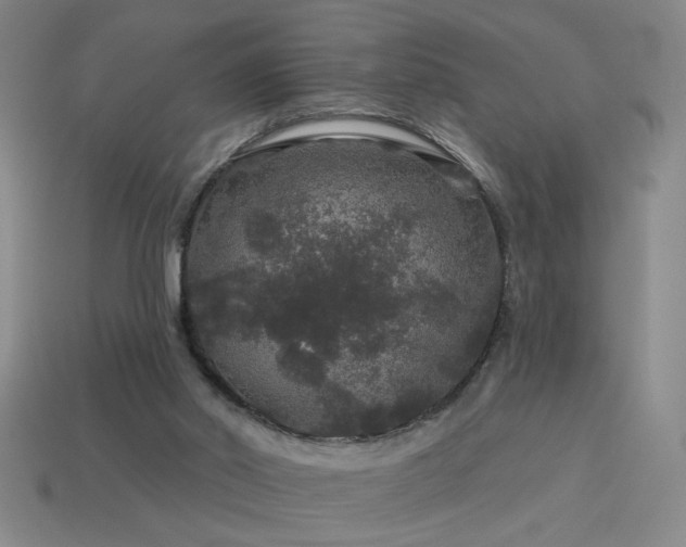 X0000114120014200910051520