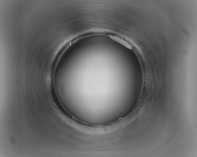 X0000114120015200910051520