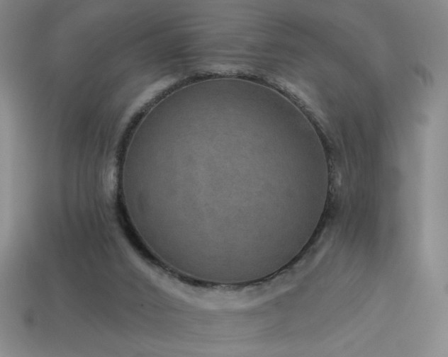 X0000114120016200910051520