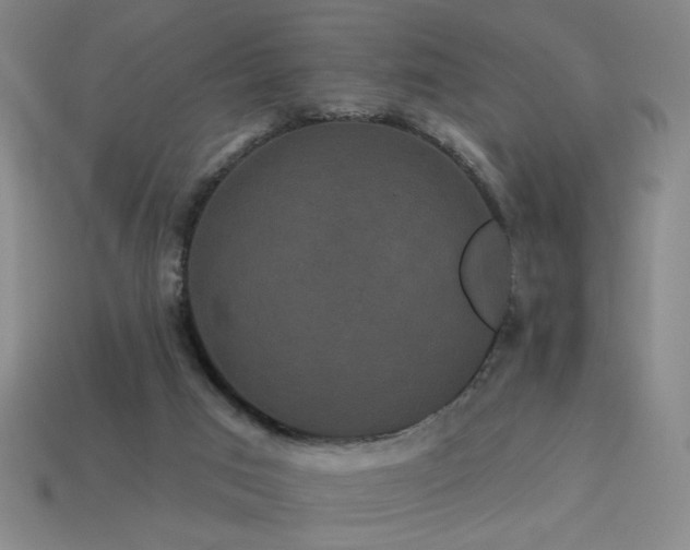 X0000114120017200910051520